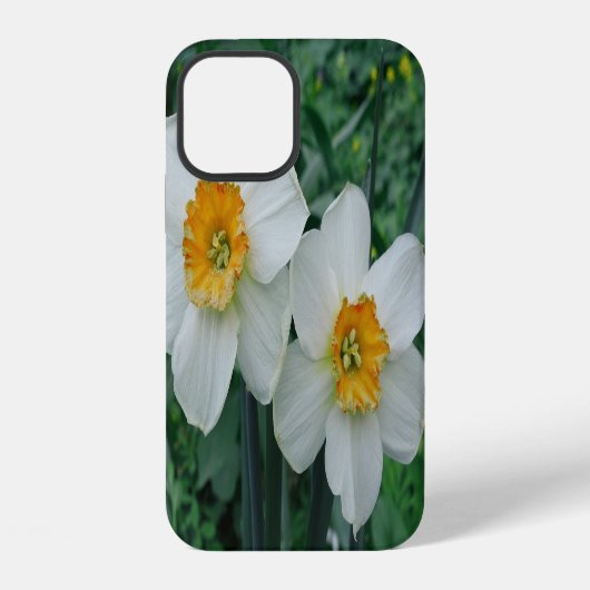 水仙の花 iPhoneケース (裏面)
