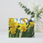 水仙の雨滴 ポストカード (スタンド正面)