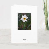 水仙ハッピーバースデー カード (裏面)