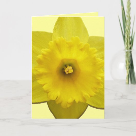 水仙パーソナライズされた花札 シーズンカード (正面)