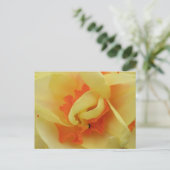 水仙ファンシーはがき ポストカード (スタンド正面)