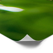 水仙ポスター ポスター (角)