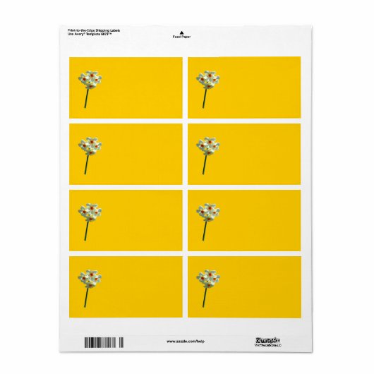 水仙ラベル ラベル (フルシート)