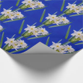 水仙春 ラッピングペーパー (角)