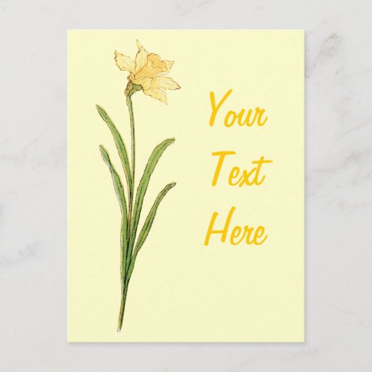 水仙独身のイラストレーションバイケイトグリーンアウェイ ポストカード (正面)