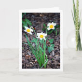 水仙花 カード (正面)