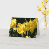 水仙023 カード (黄色い花)