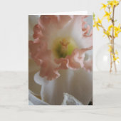 水仙 カード (黄色い花)