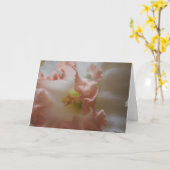 水仙 カード (黄色い花)