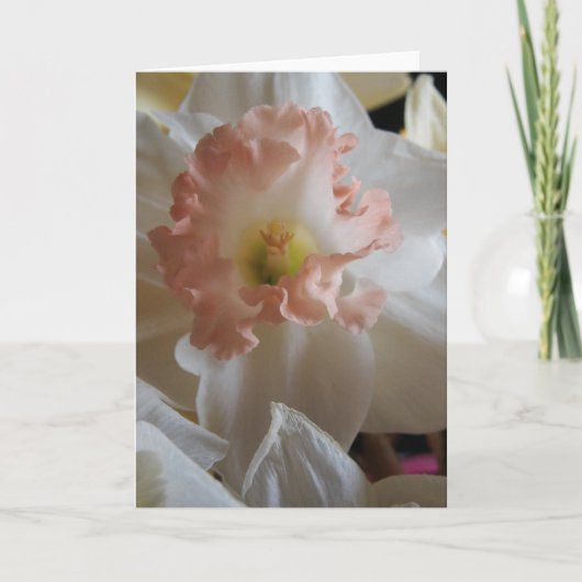 水仙 カード (正面)