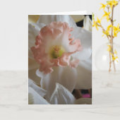 水仙 カード (黄色い花)