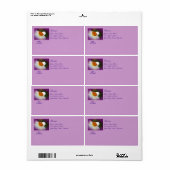 水仙 – スプリングタイム美しい ラベル (フルシート)