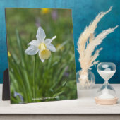 水仙 フォトプラーク (側面)