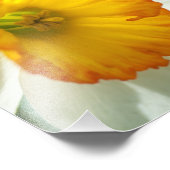 水仙 フォトプリント            (角)