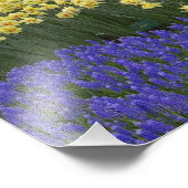 水仙、ブドウのヒアシンス、チューリップの庭。 フォトプリント (角)