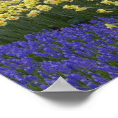 水仙、ブドウのヒアシンス、チューリップの庭。 ポスター (角)