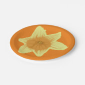 水仙 ペーパープレート (アングル)