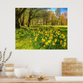 水仙 ポスター (キッチン)