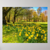 水仙 ポスター (正面)