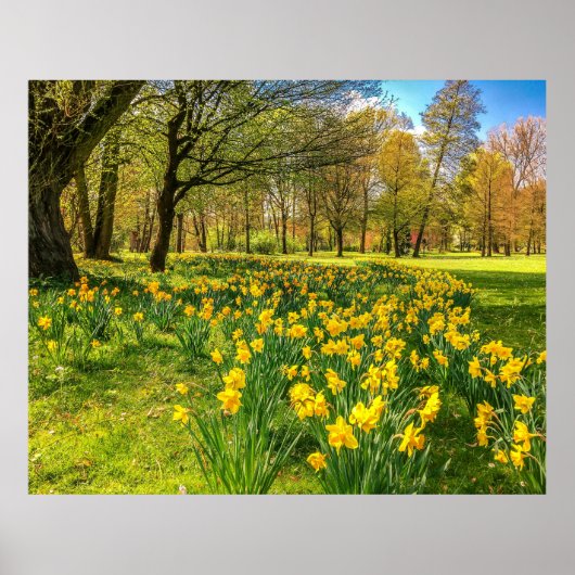 水仙 ポスター (正面)