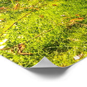 水仙 ポスター (角)