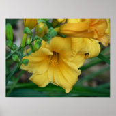 水仙 ポスター (正面)