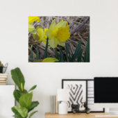 水仙 ポスター (ホームオフィス)