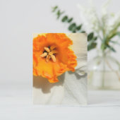 水仙 ポストカード (スタンド正面)