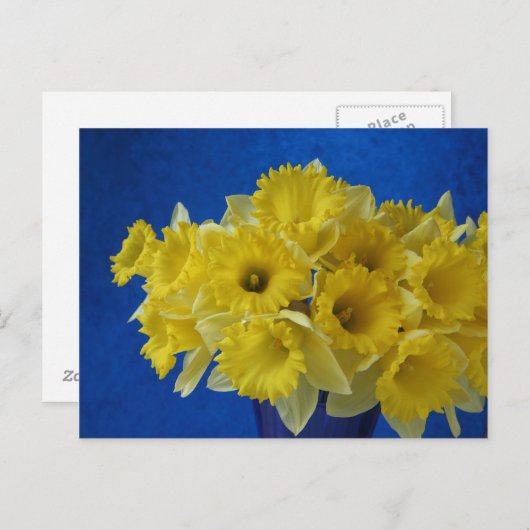 水仙 ポストカード (正面/裏面)