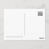 水仙「早い感じ」[葉書] ポストカード (裏面)