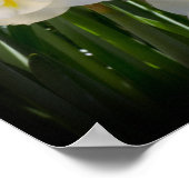 水仙（疝）痛 ポスター (角)