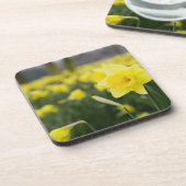 水仙(RF) コースター (左側)