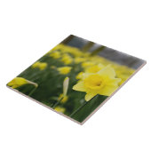 水仙(RF) タイル (側面)