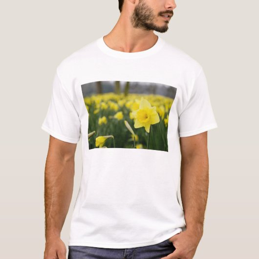 水仙 (RF) Tシャツ (正面)