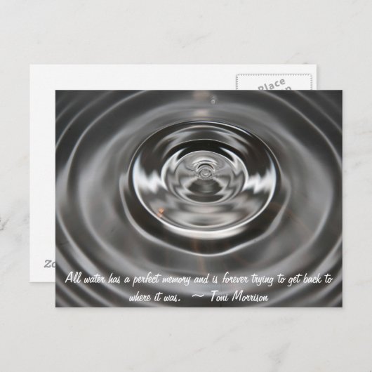 水低下および引用文 ポストカード (正面/裏面)