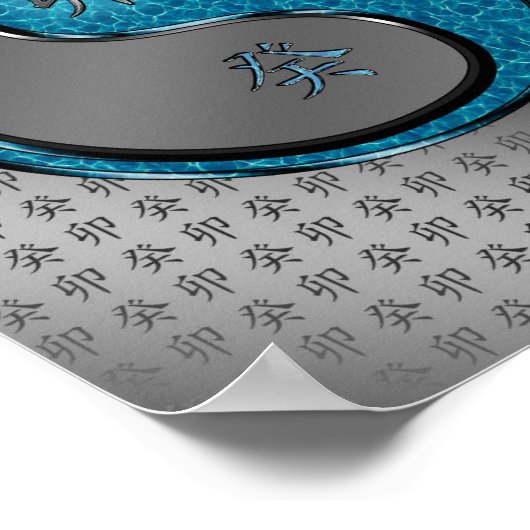 水兎の年 ポスター (角)