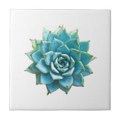 水分の多い色 タイル (正面)