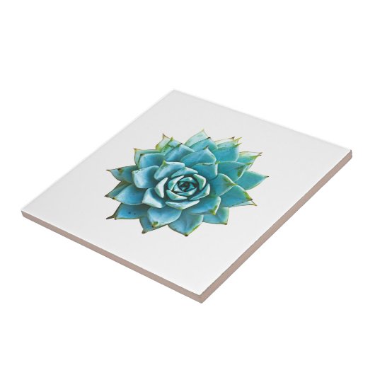 水分の多い色 タイル (側面)