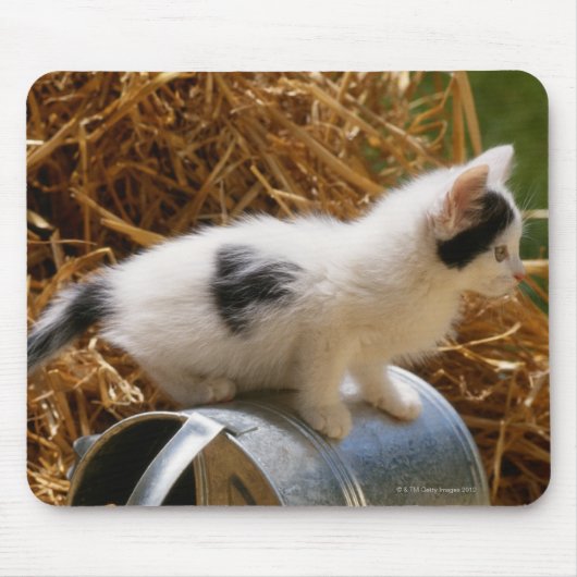 水切り缶の上に座っている子猫 マウスパッド (正面)