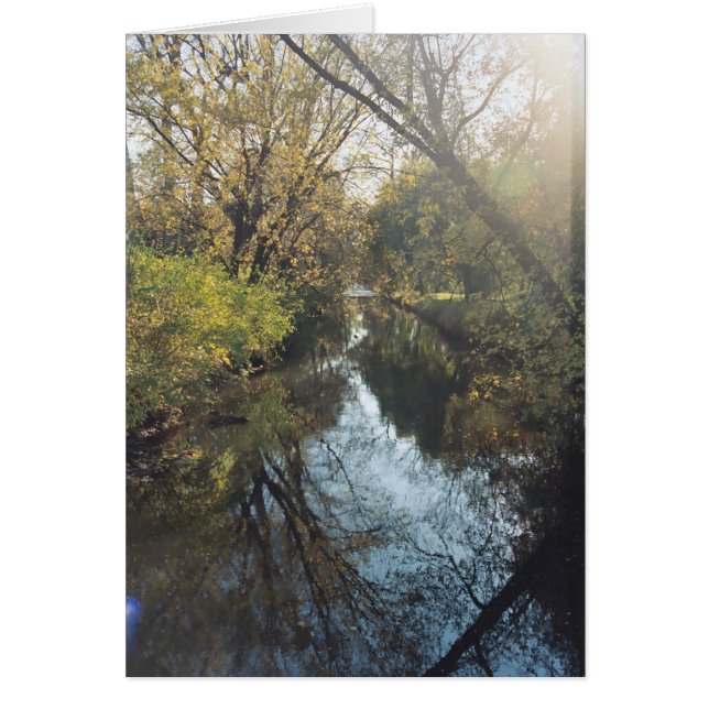 水反映の木 (正面)