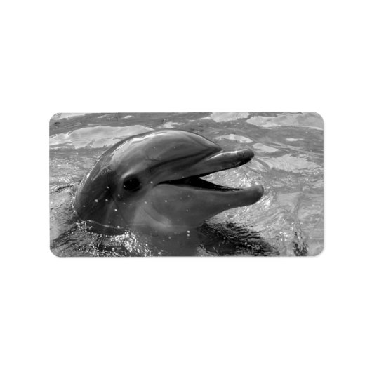 水口にイルカの頭を開ける白黒 ラベル (正面)