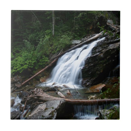 水古い山の滝 タイル (正面)