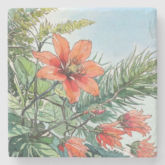 水図解入りの、写真付きの色植物性オレンジ色フローラ ストーンコースター (正面)