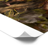 水妖精のポスター ポスター (角)