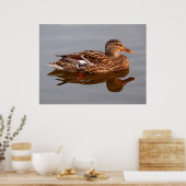 水家禽 ポスター (キッチン)