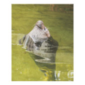 水封 フォトプリント            (正面)