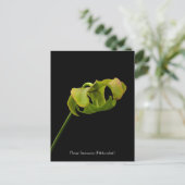 水差し(肉食動物)はがきから花 ポストカード (スタンド正面)