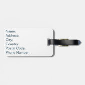 水平カラフル海軍ストライプ ラゲッジタグ (裏面横)