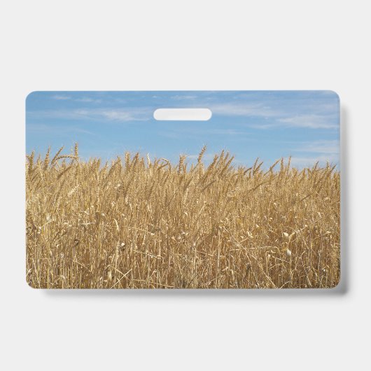 水平バッジ バッジ (Front)