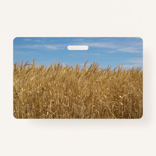 水平バッジ バッジ (正面)